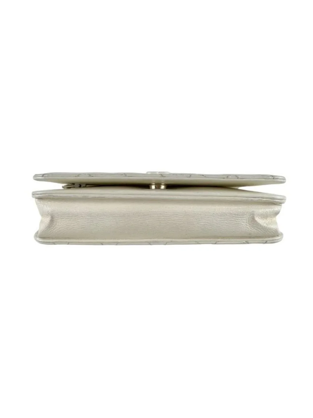 Chanel Chain Wallet Shoulder